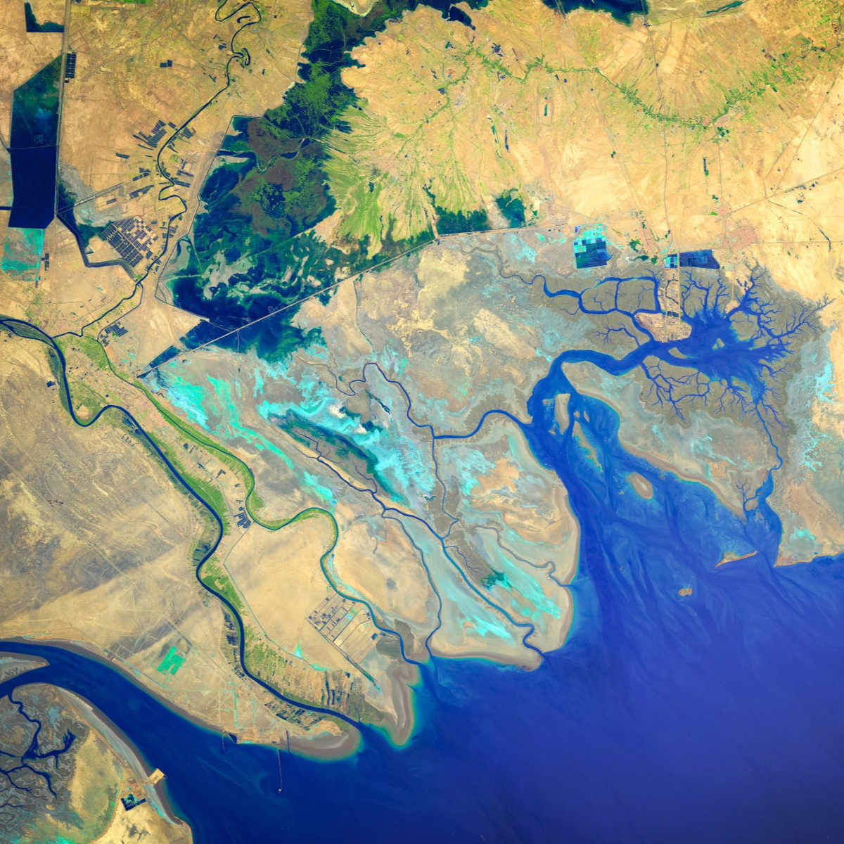 satellite image of sea meeting land