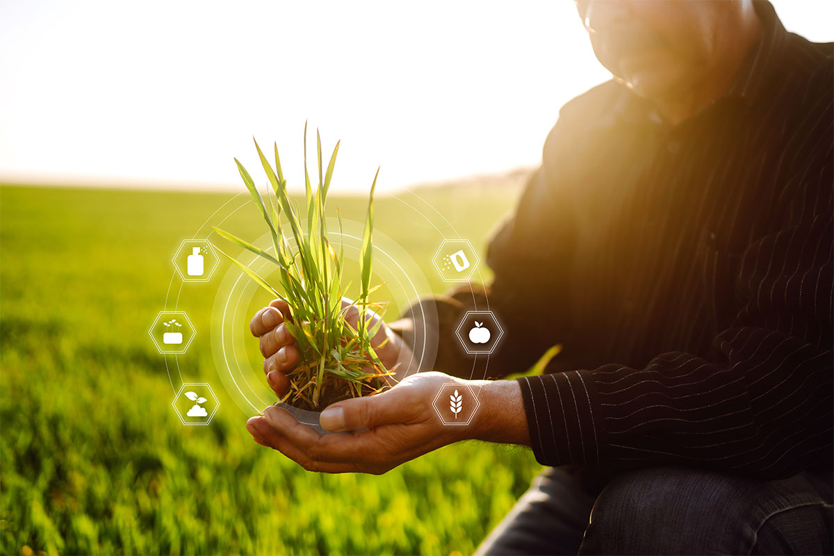 person holding a clump of grass with digital graphics surrounding it