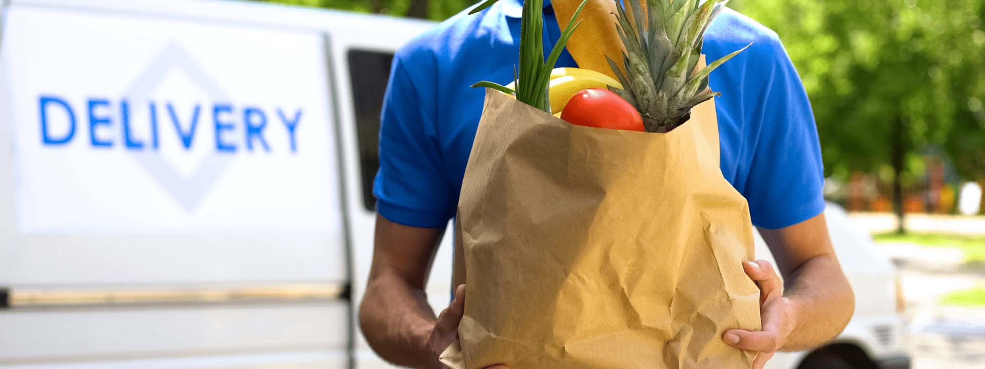 person holding a bag of groceries