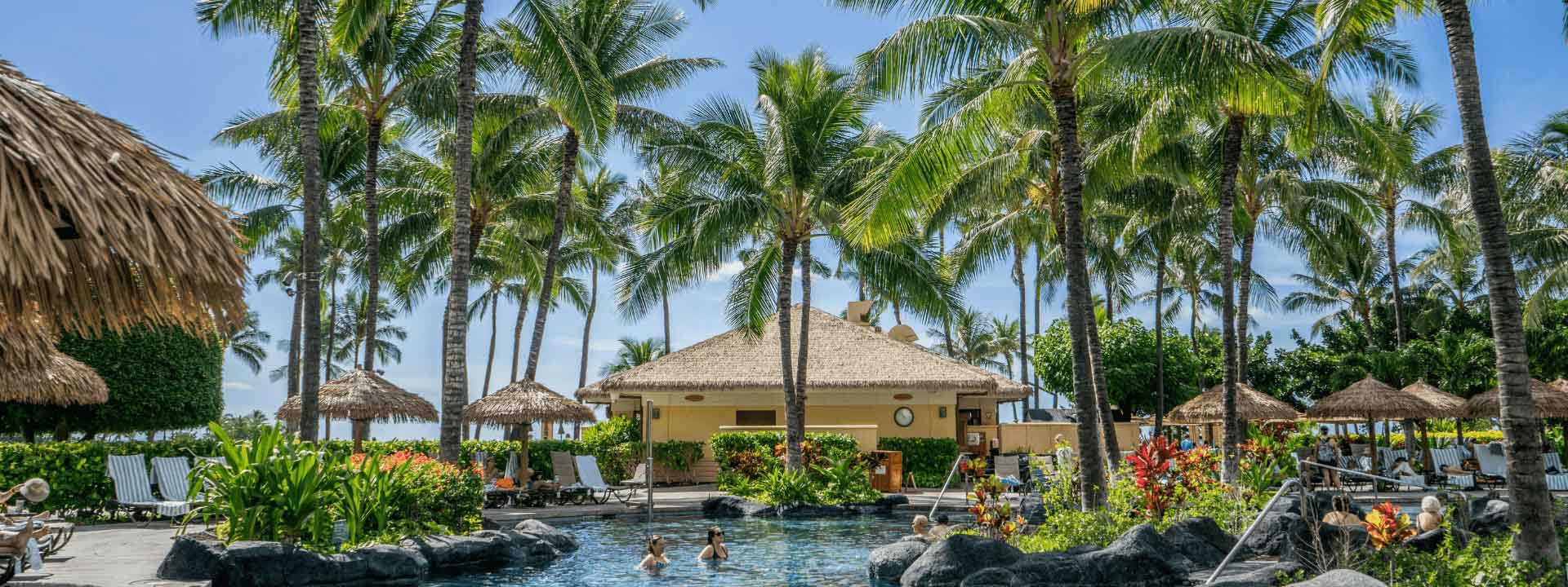 island resort with pool and palm trees around