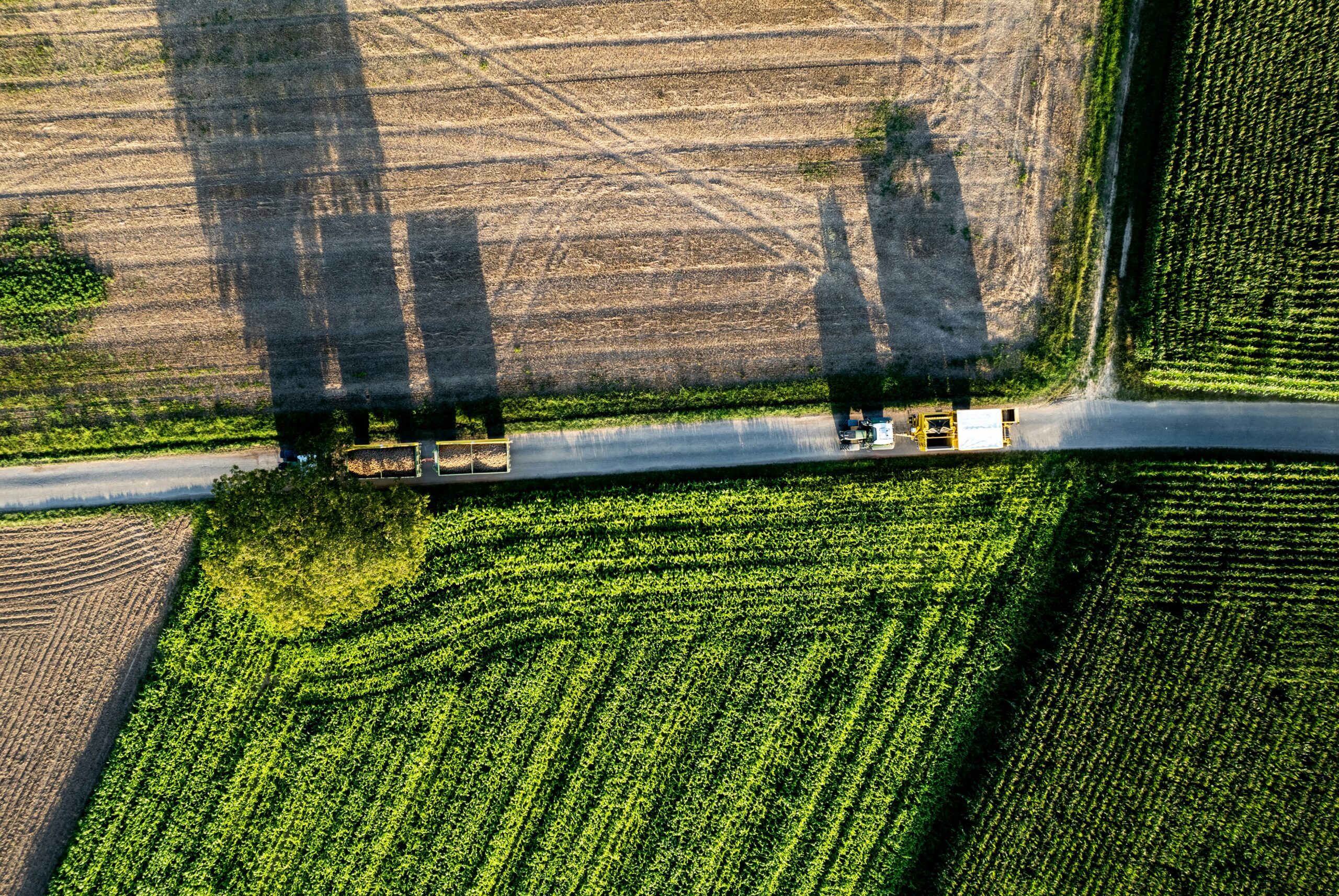 Featured image for “Mapping Agricultural Supply Chains: From Farm to Warehouse”